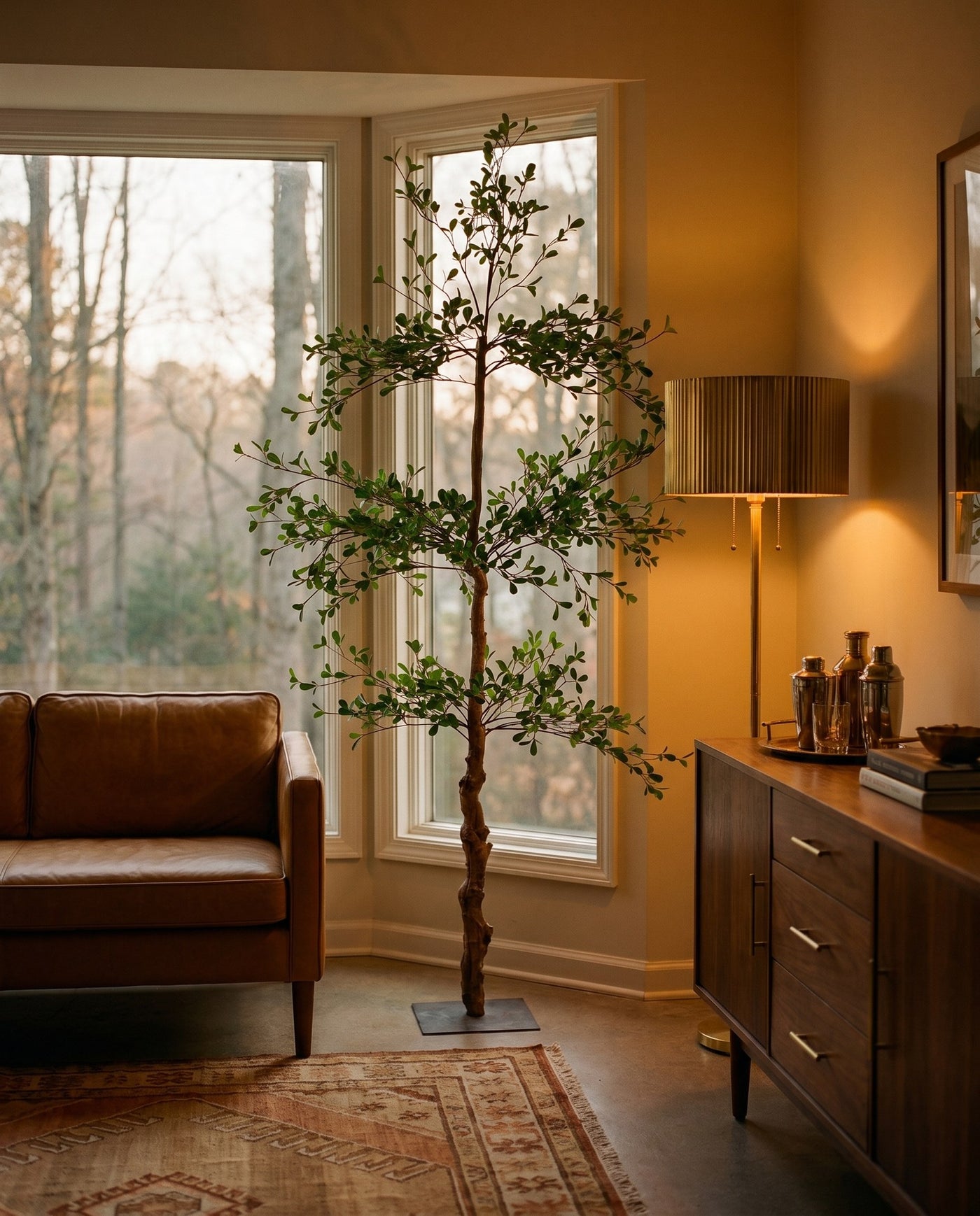 Maison Moya - Black Olive Tree Statement Indoor Tree - 01 lifestyle