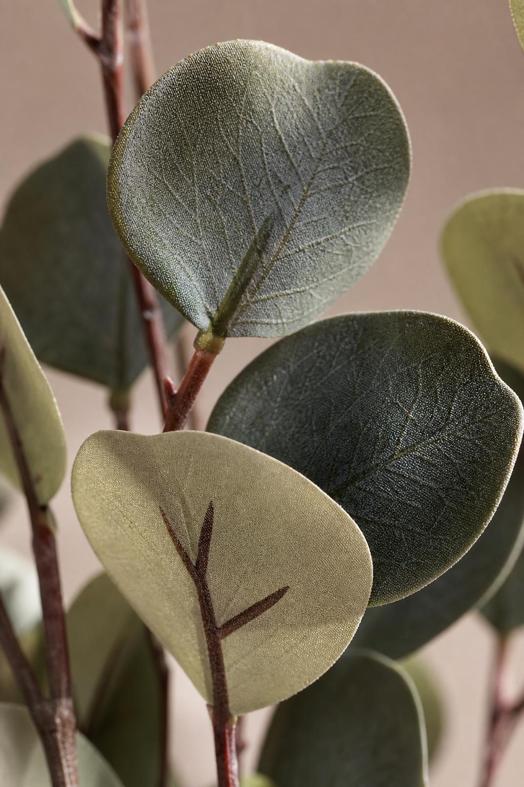 Maison Moya - Eucalyptus Round Leaf Faux Tree - closeup detail