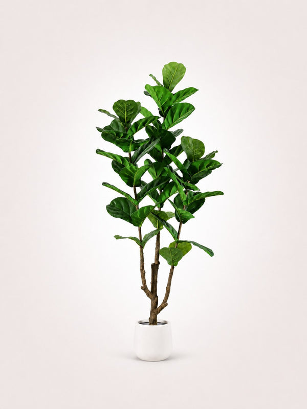 Ficus Lyrata Árbol artificial
