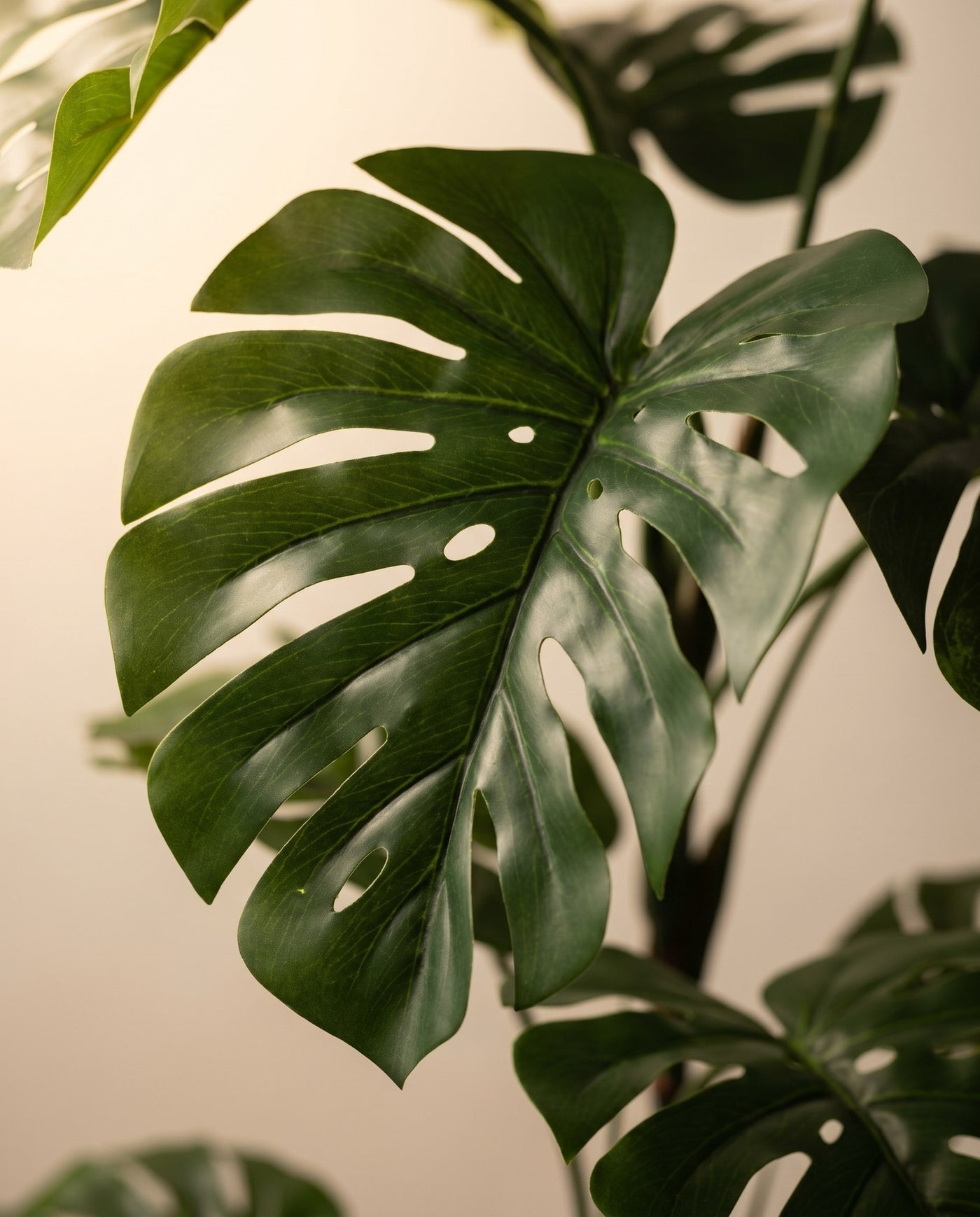 Maison Moya - Monstera Deliciosa Tropical Faux Plant - 03 closeup-top