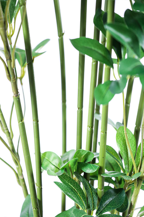 Schefflera Umbrella Faux Tree