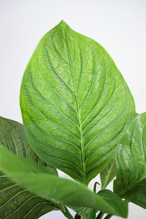 Tropical Plant Leaf Design Faux Plant