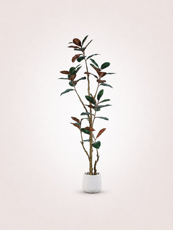 Ficus Elastica Árbol artificial