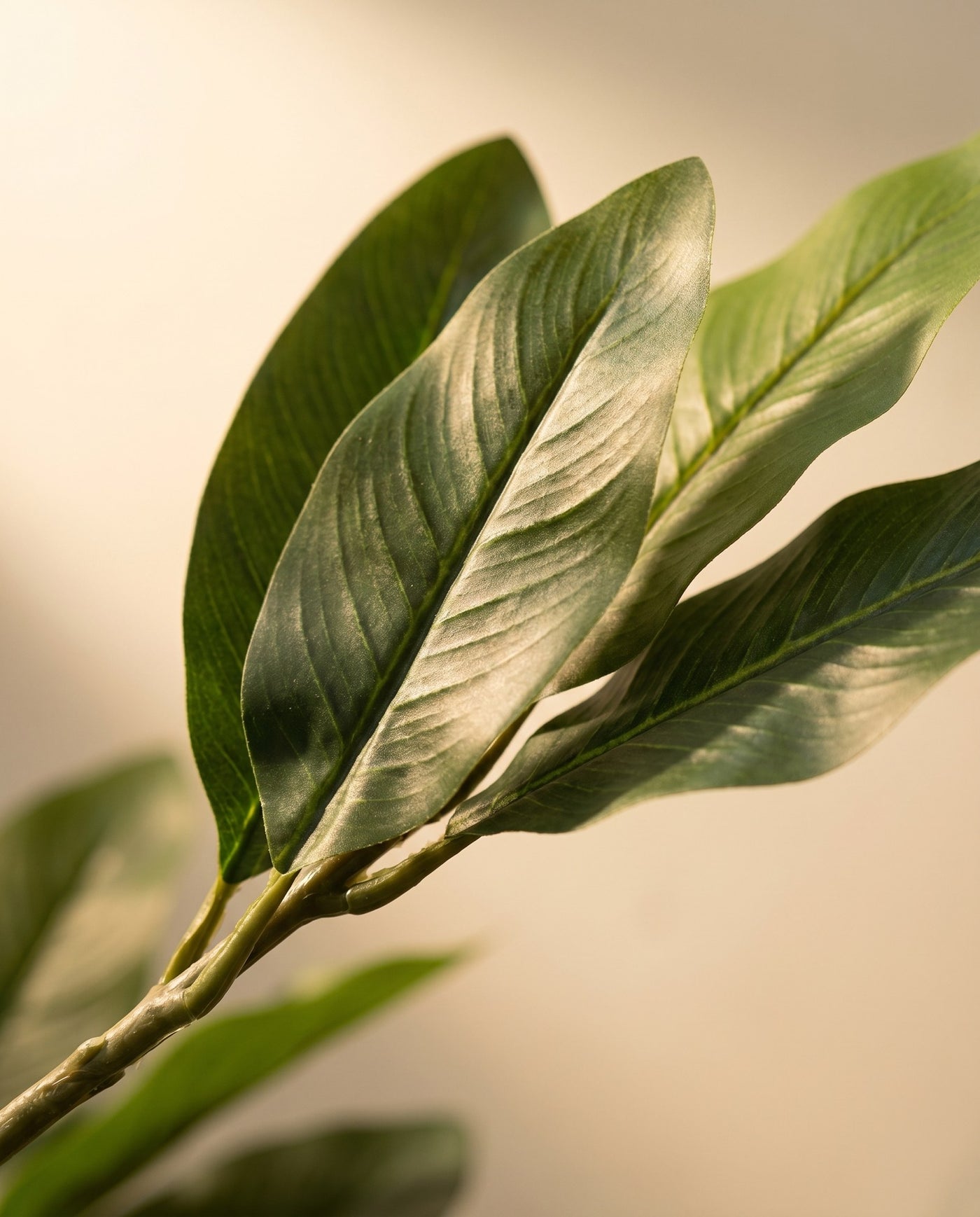 Maison Moya - Traveler's Palm Tropical Statement Tree - 03 closeup-top