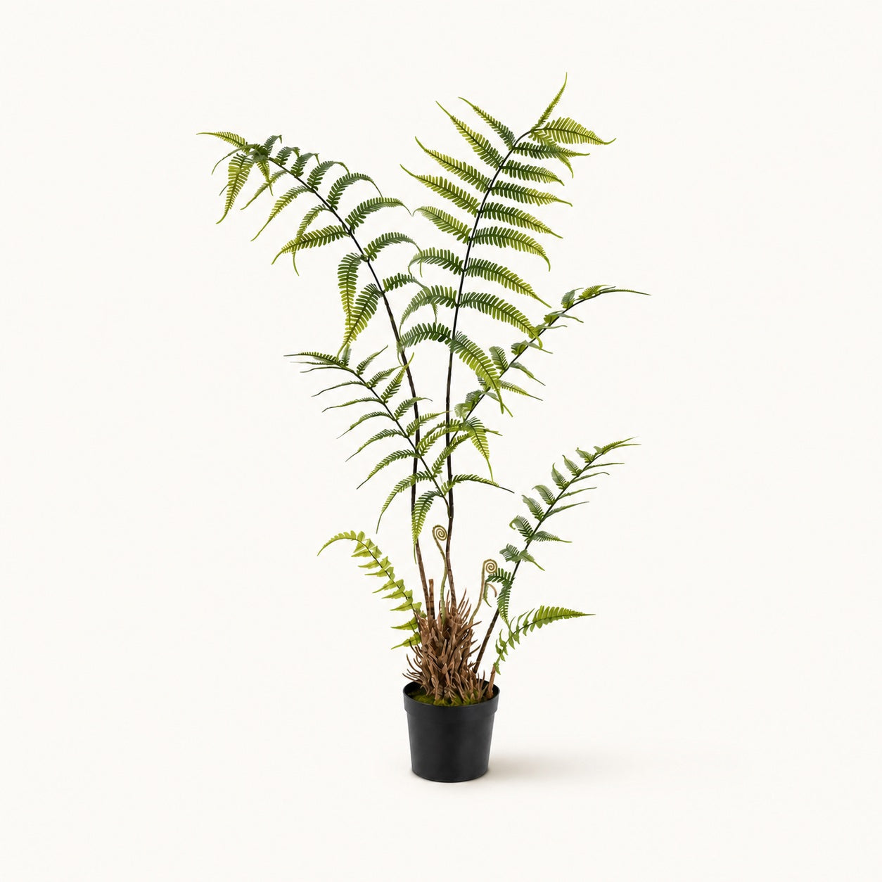 Plante artificielle Nephrolepis