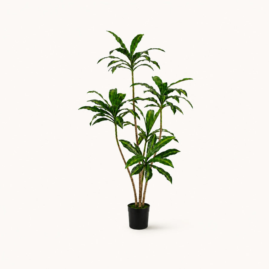 Arbre artificiel Dracaena