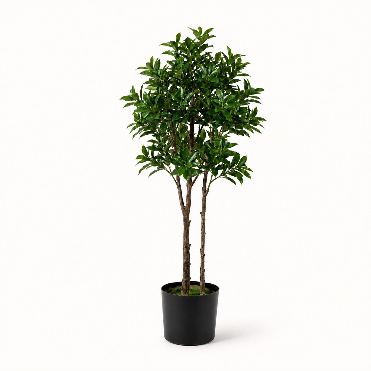 Plante artificielle Pieris Japonica