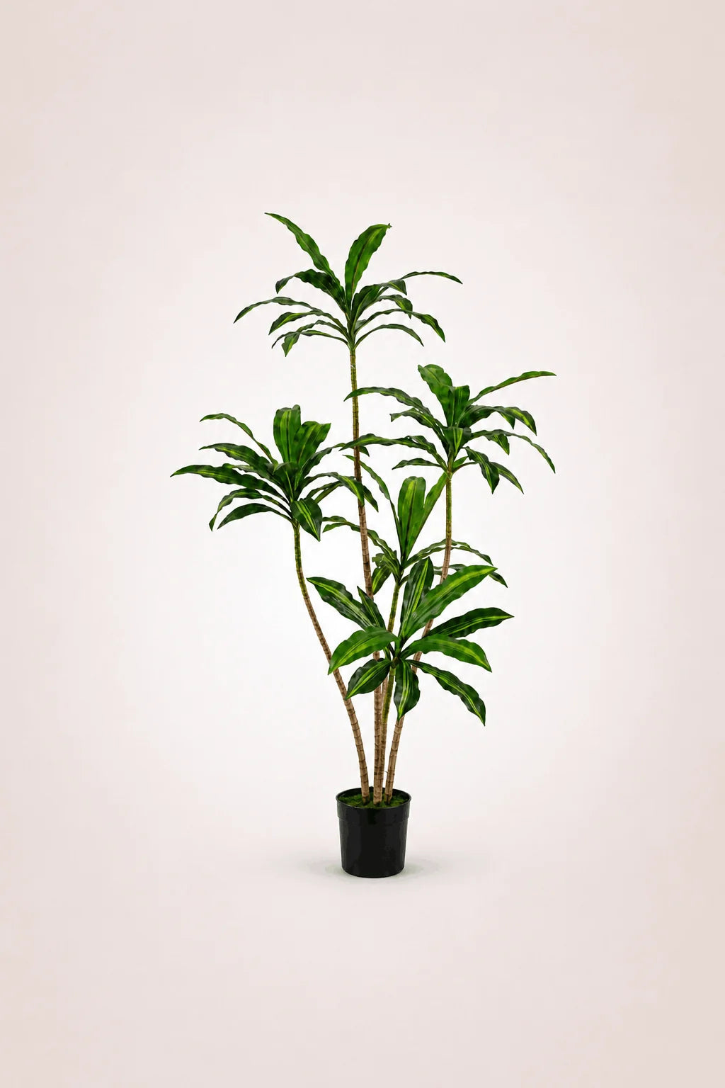Dracaena Realistic Trunk Faux Tree – Maison Moya