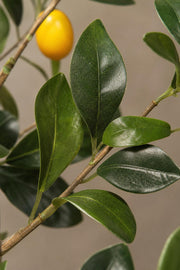 Maison Moya - Lemon Tree Faux Fruit Tree - closeup detail