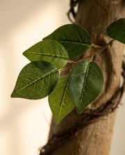 Maison Moya - Bougainvillea Arched XL Statement Tree - 03 closeup-top