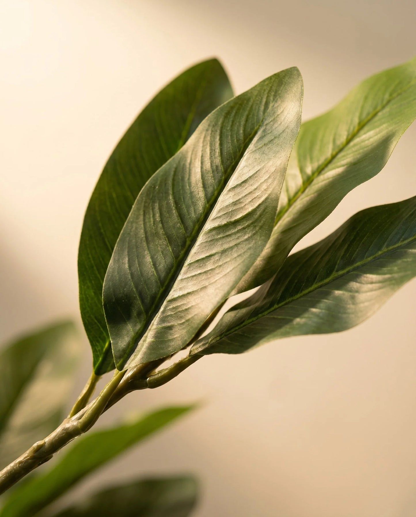 Maison Moya - Traveler's Palm Tropical Statement Tree - 03 closeup-top