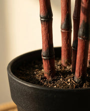Maison Moya - Nandina Sacred Bamboo Faux Plant - 04 closeup-base