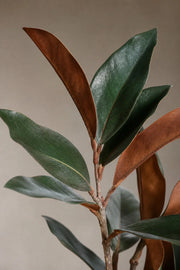 Maison Moya - Magnolia Flower Tree Faux Indoor Tree - closeup detail