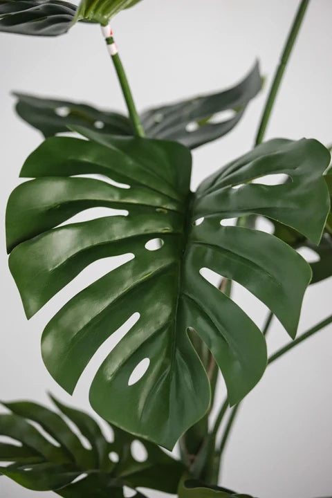 Monstera Deliciosa Tropical Faux Plant