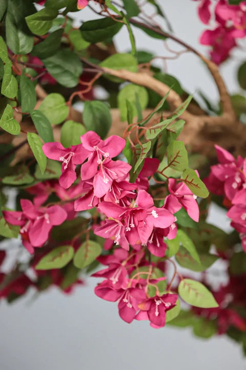 Bougainvillea Arched XL Statement Tree