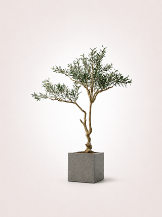 Olivo clásico Árbol artificial