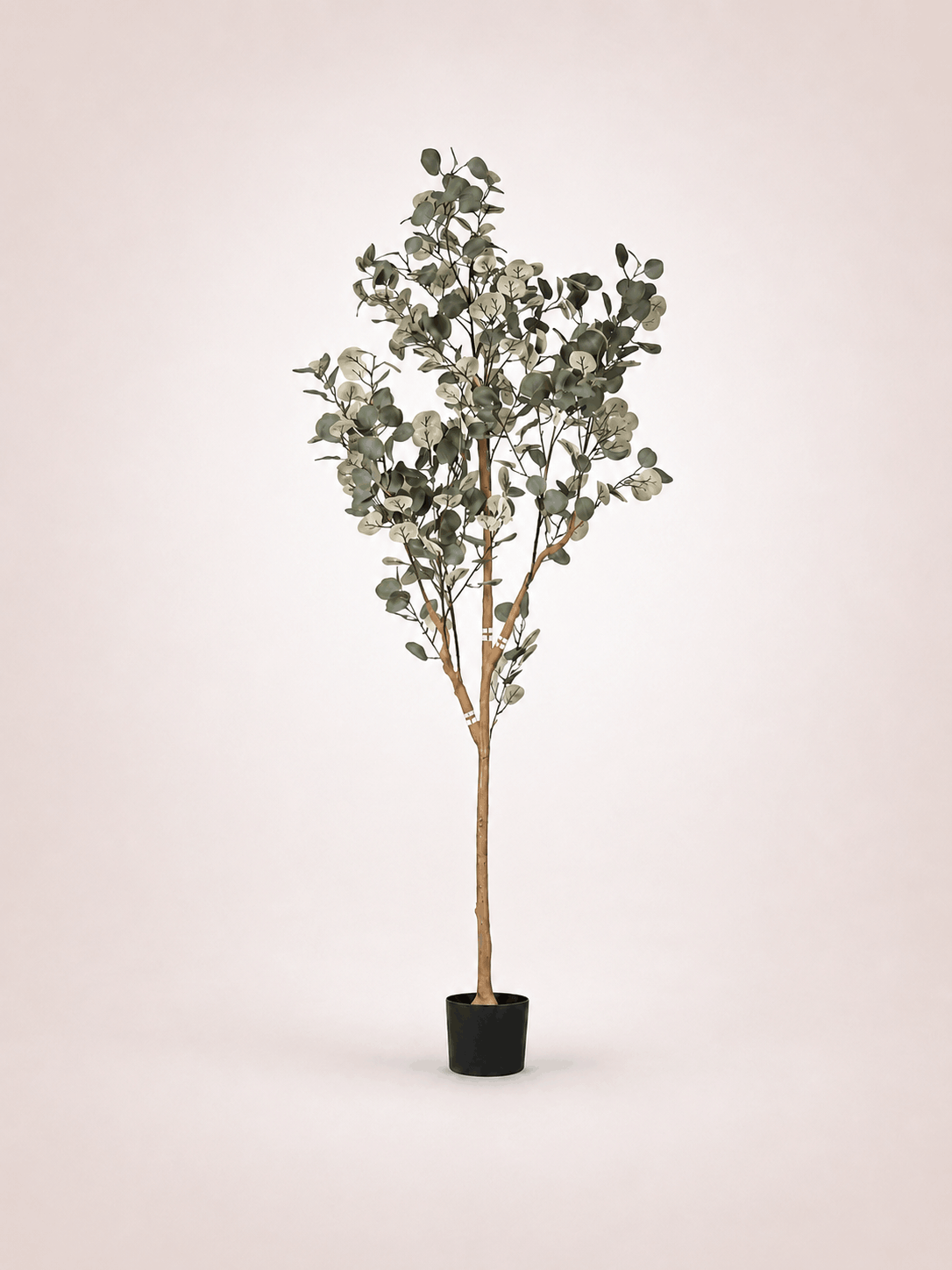 Eucalipto Árbol artificial