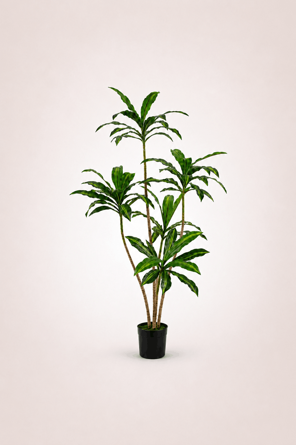 Dracaena Árbol artificial