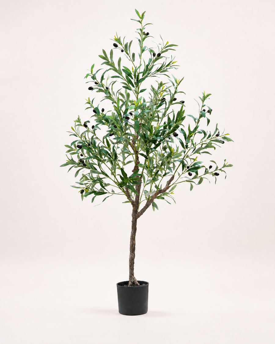 Arezzo Artificial Olive Tree, 59 in