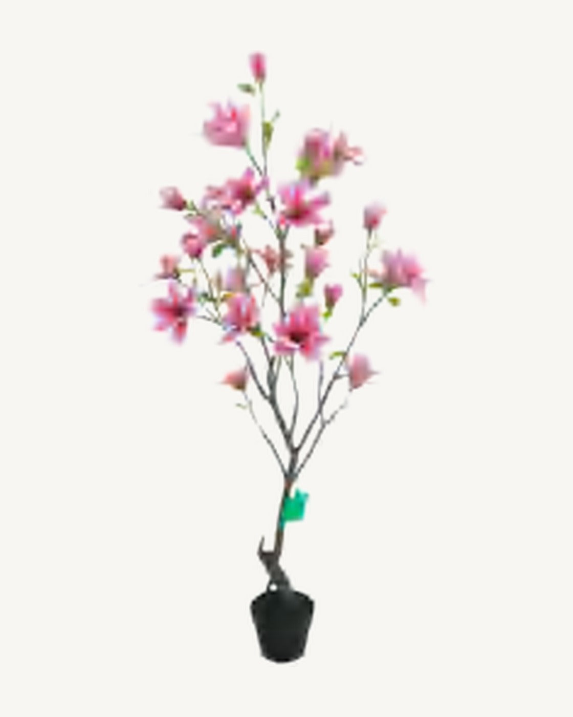Avignon Artificial Blossom Tree, full product studio view in the included nursery pot