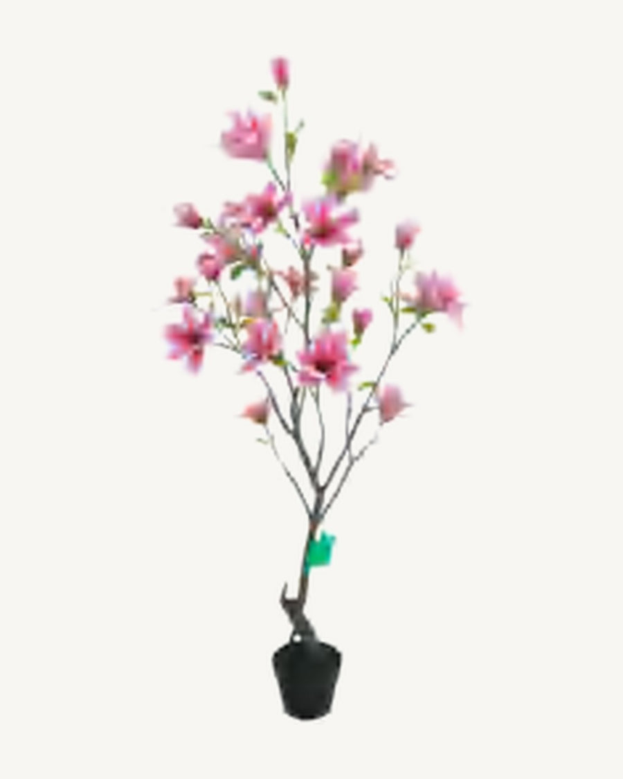 Avignon Artificial Blossom Tree, full product studio view in the included nursery pot