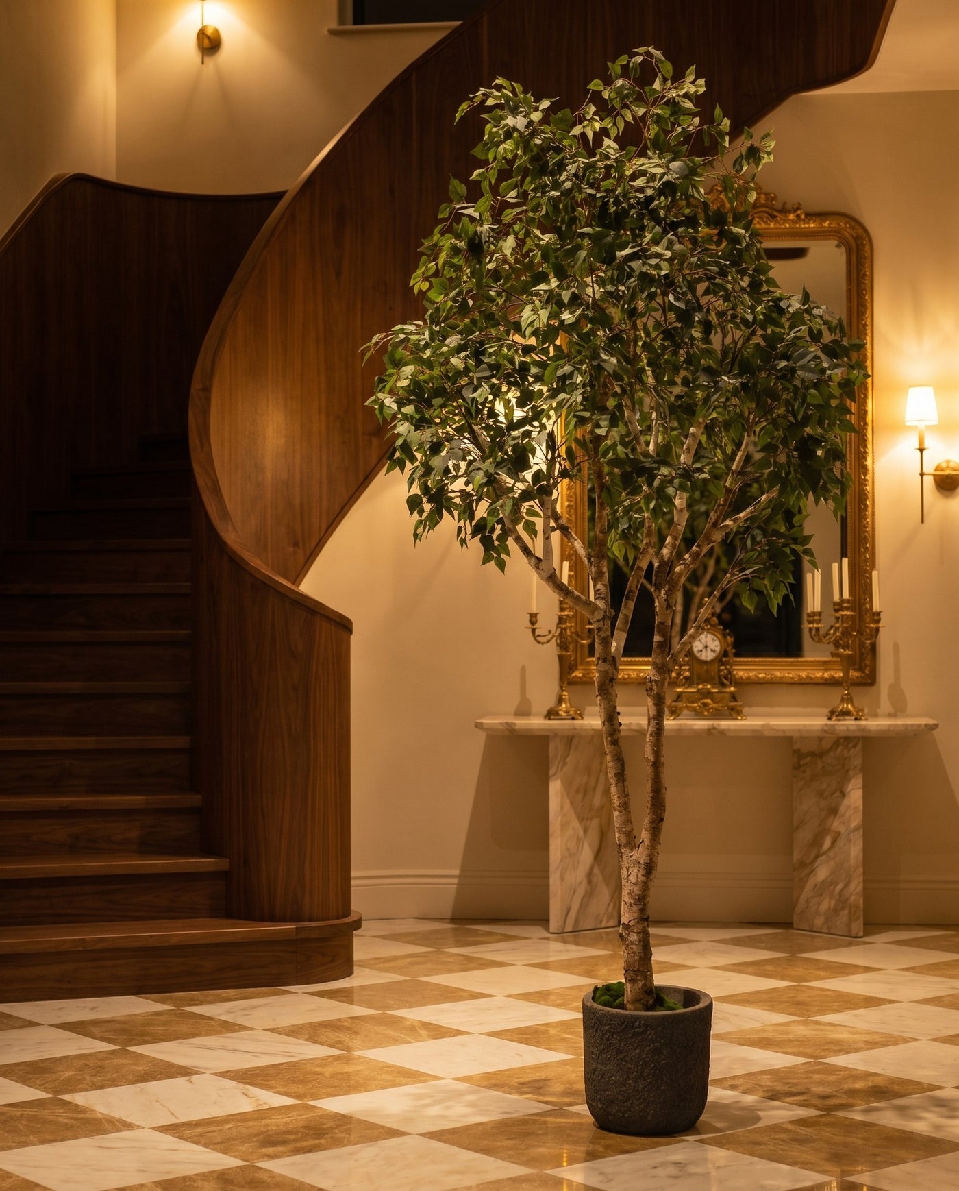 Maison Moya - Birch Tree Real Trunk Indoor Tree - 01 lifestyle