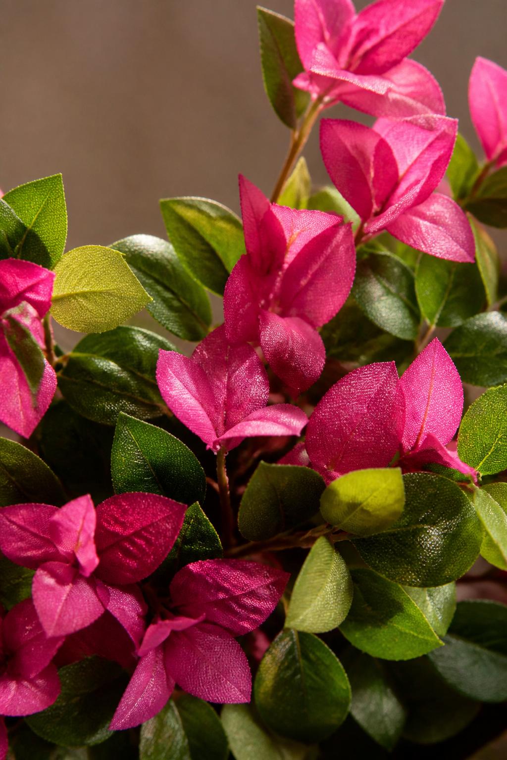 Maison Moya - Bougainvillea Arched XL Statement Tree - closeup detail