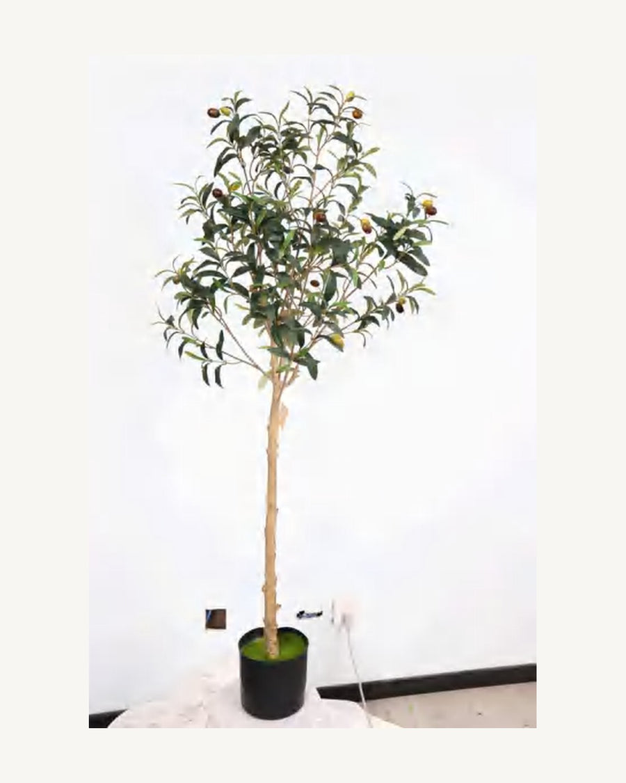 Calvi Artificial Olive Tree, full product studio view in the included nursery pot