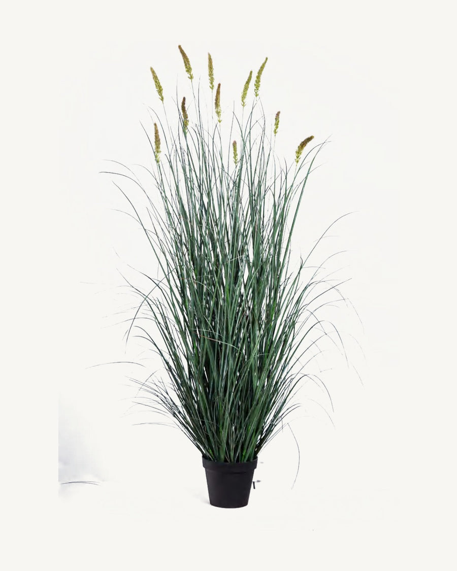 Capri Artificial Cattail Grass, full product studio view in the included nursery pot
