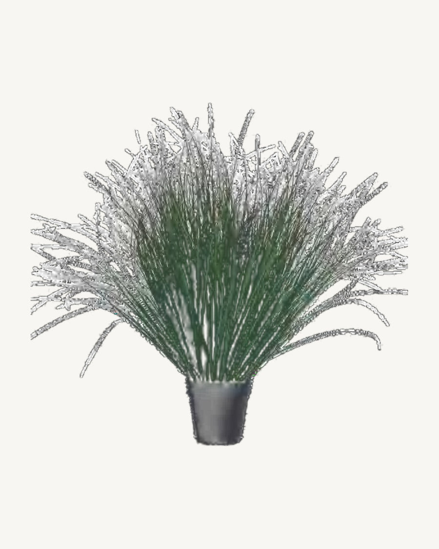 Cortona Artificial Onion Grass, full product studio view in the included nursery pot