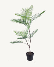 Cortona Artificial Phoenix Palm, 39.3 in, full product studio view in the included nursery pot