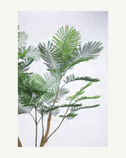 Cortona Artificial Phoenix Palm, 76 in, full product studio view in the included nursery pot