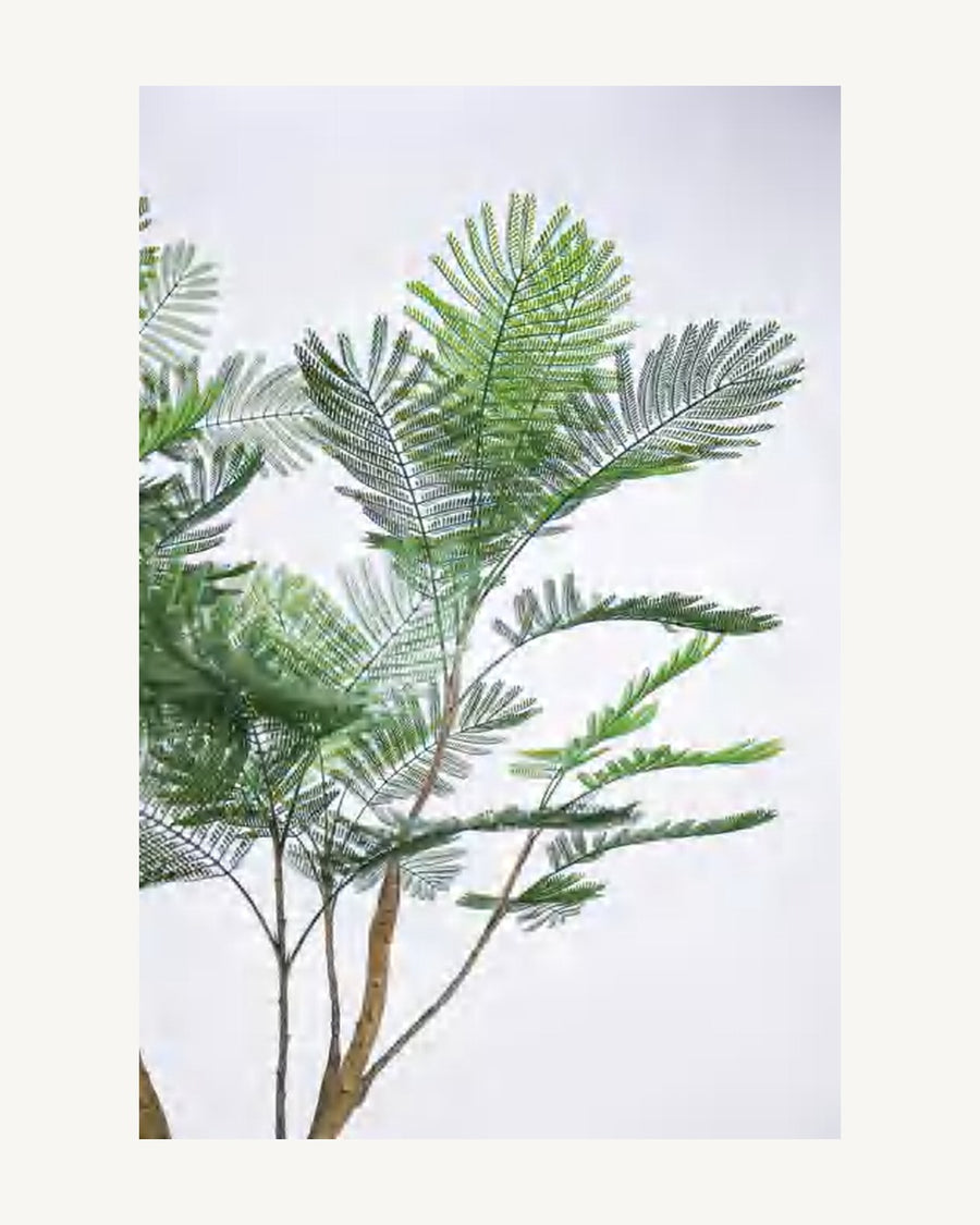 Cortona Artificial Phoenix Palm, 76 in, full product studio view in the included nursery pot