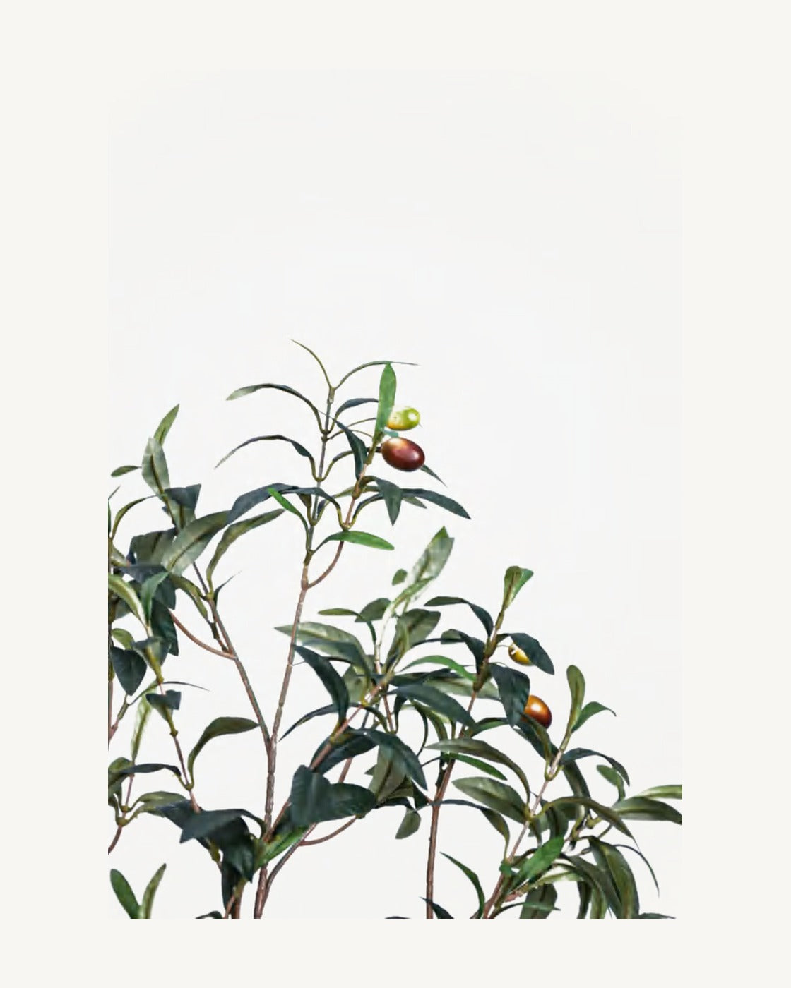 Douro Artificial Olive Tree, full product studio view in the included nursery pot