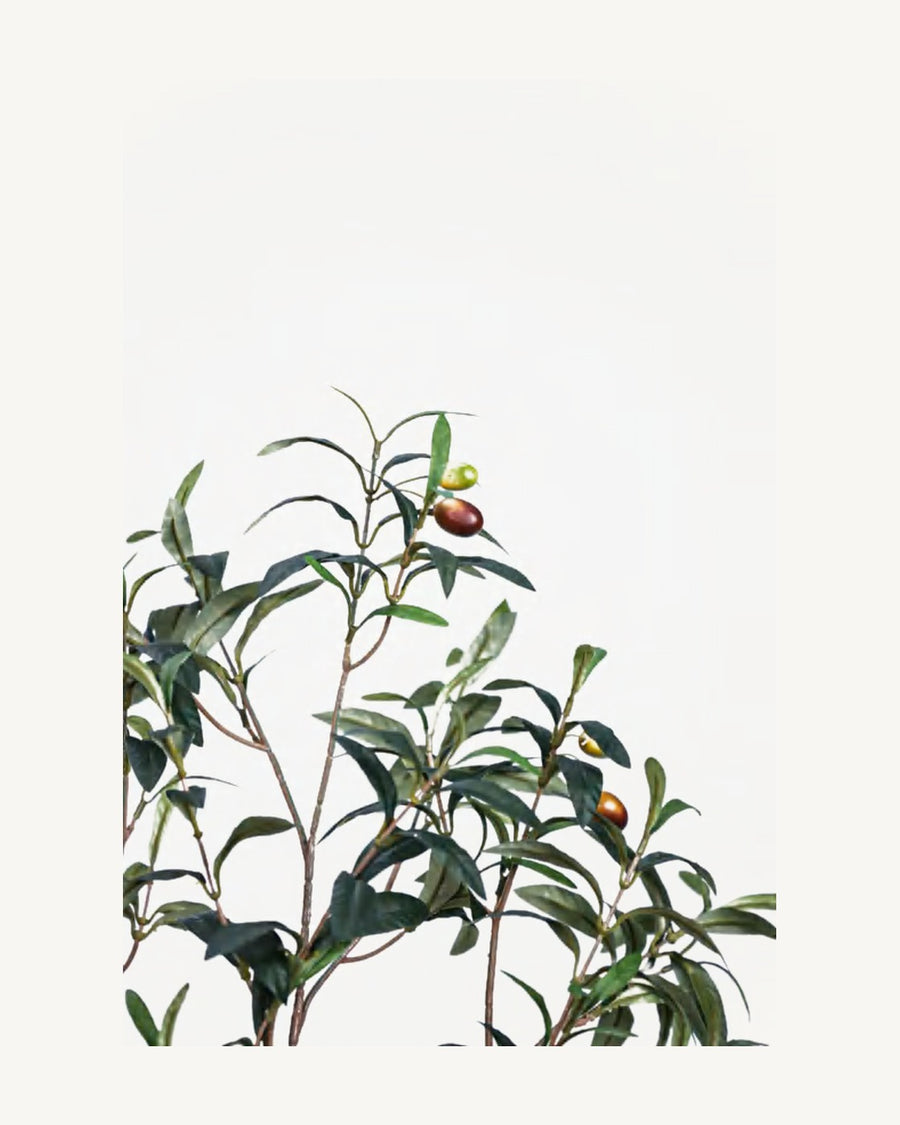 Douro Artificial Olive Tree, full product studio view in the included nursery pot