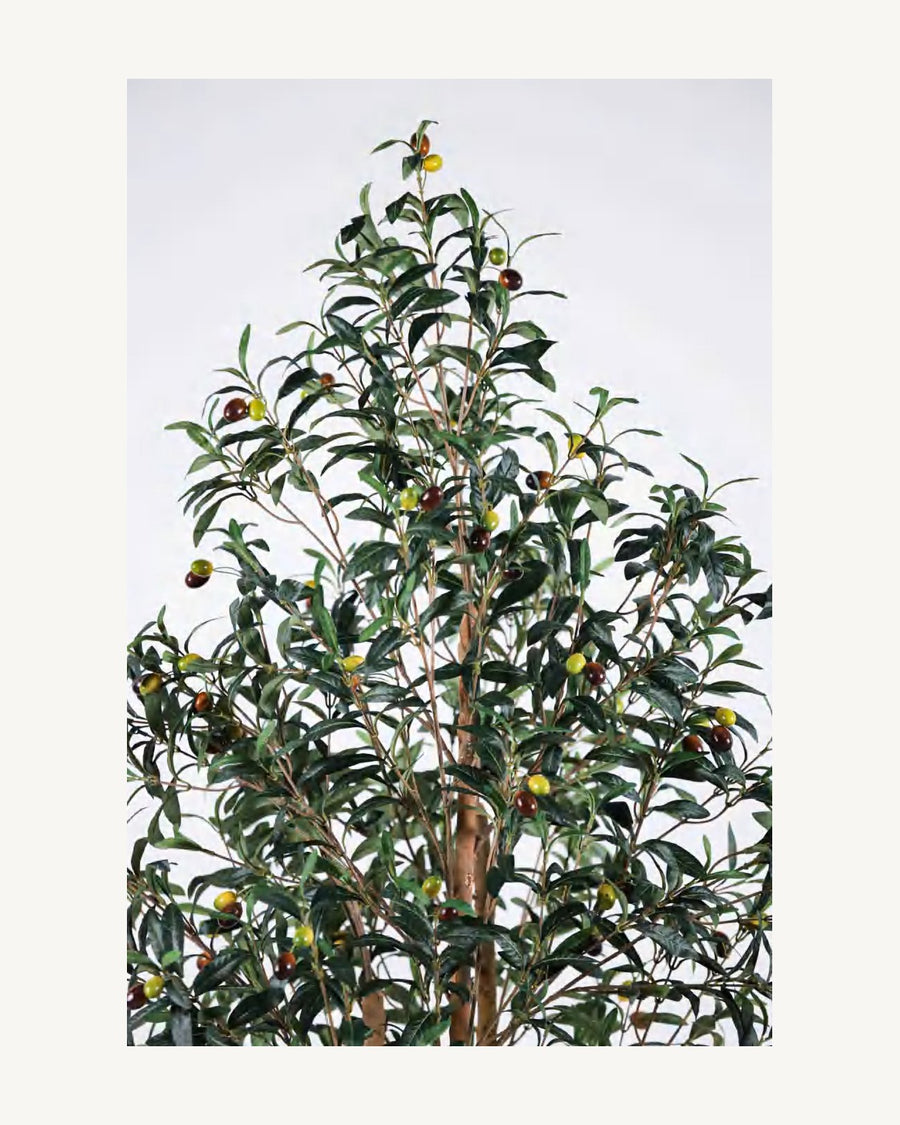 Formentera Artificial Olive Tree, full product studio view in the included nursery pot