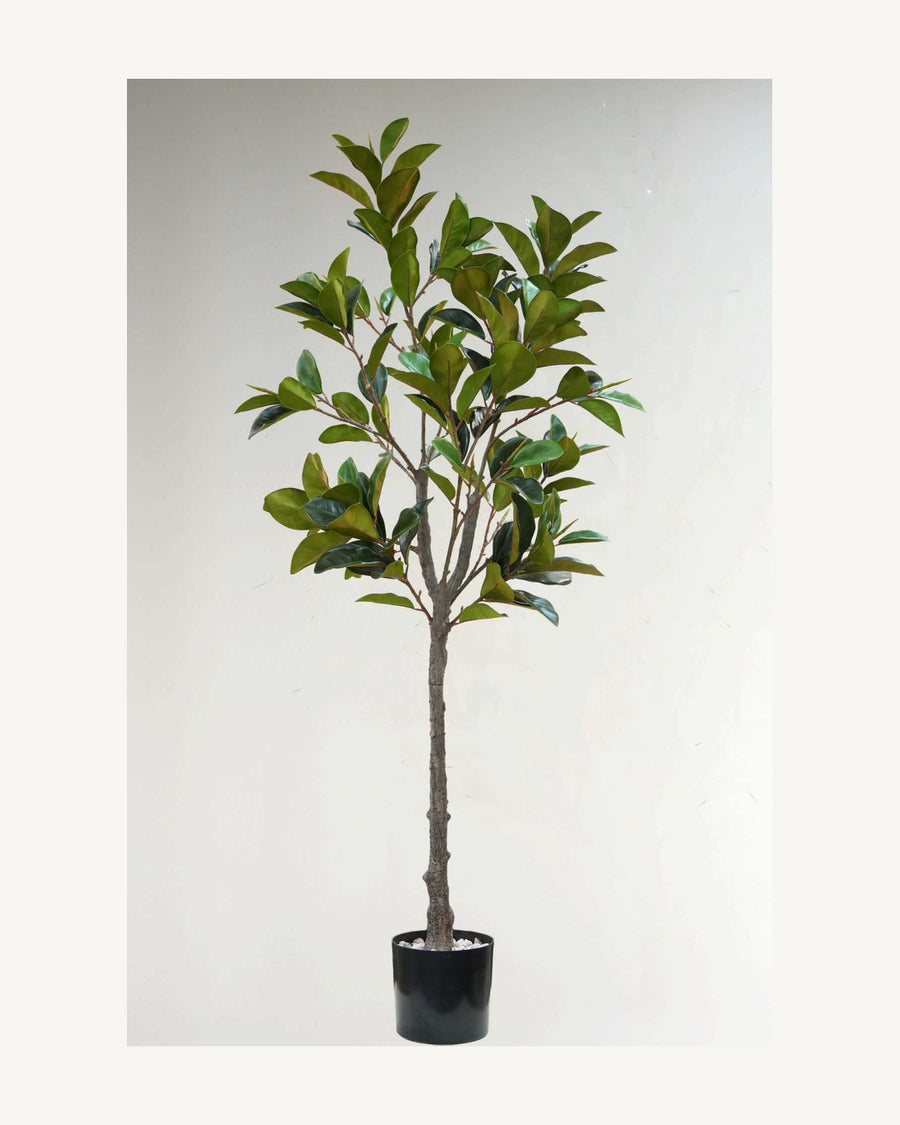 Garda Artificial Decorative Tree, full product studio view in the included nursery pot