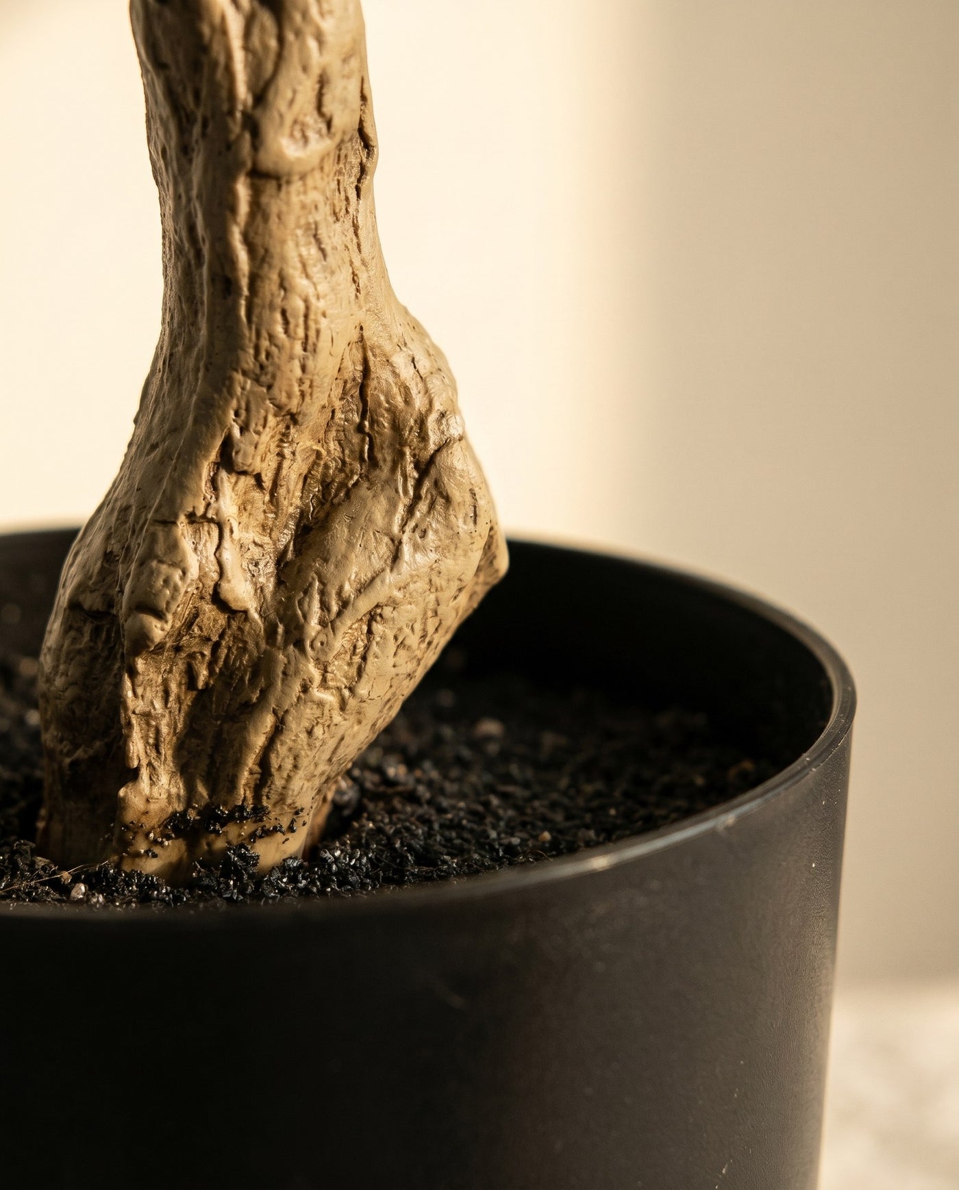 Maison Moya - Hydrangea Potted Flowering Plant - 04 closeup-base