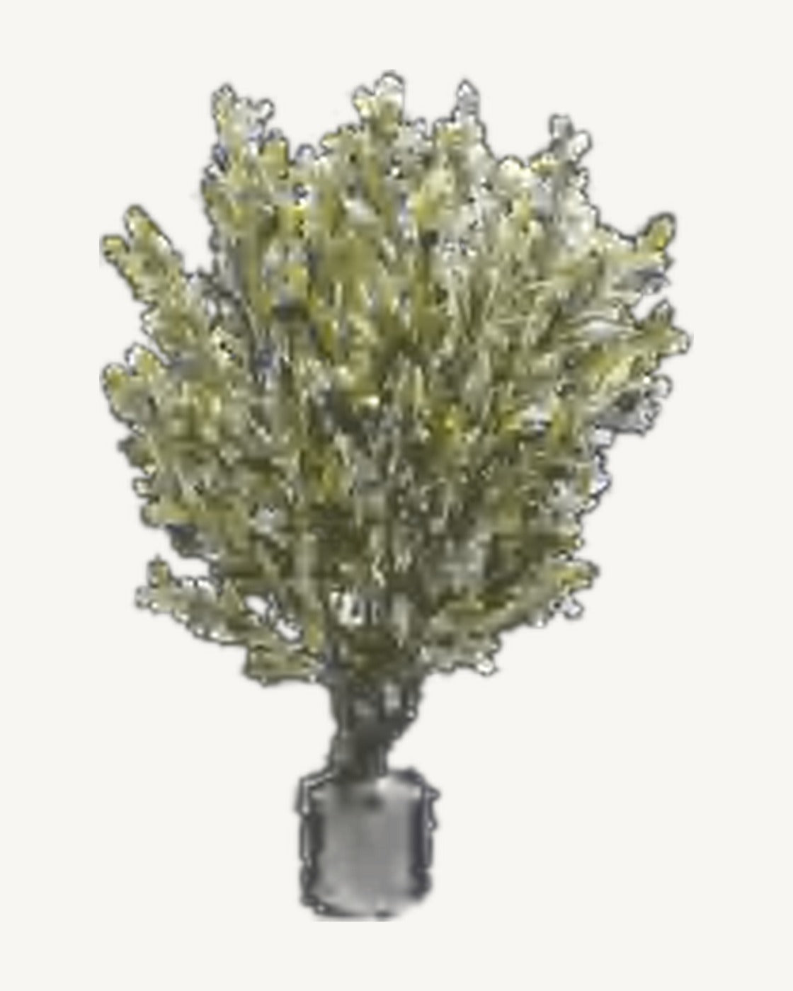 Ischia Artificial Olive Tree, full product studio view in the included nursery pot