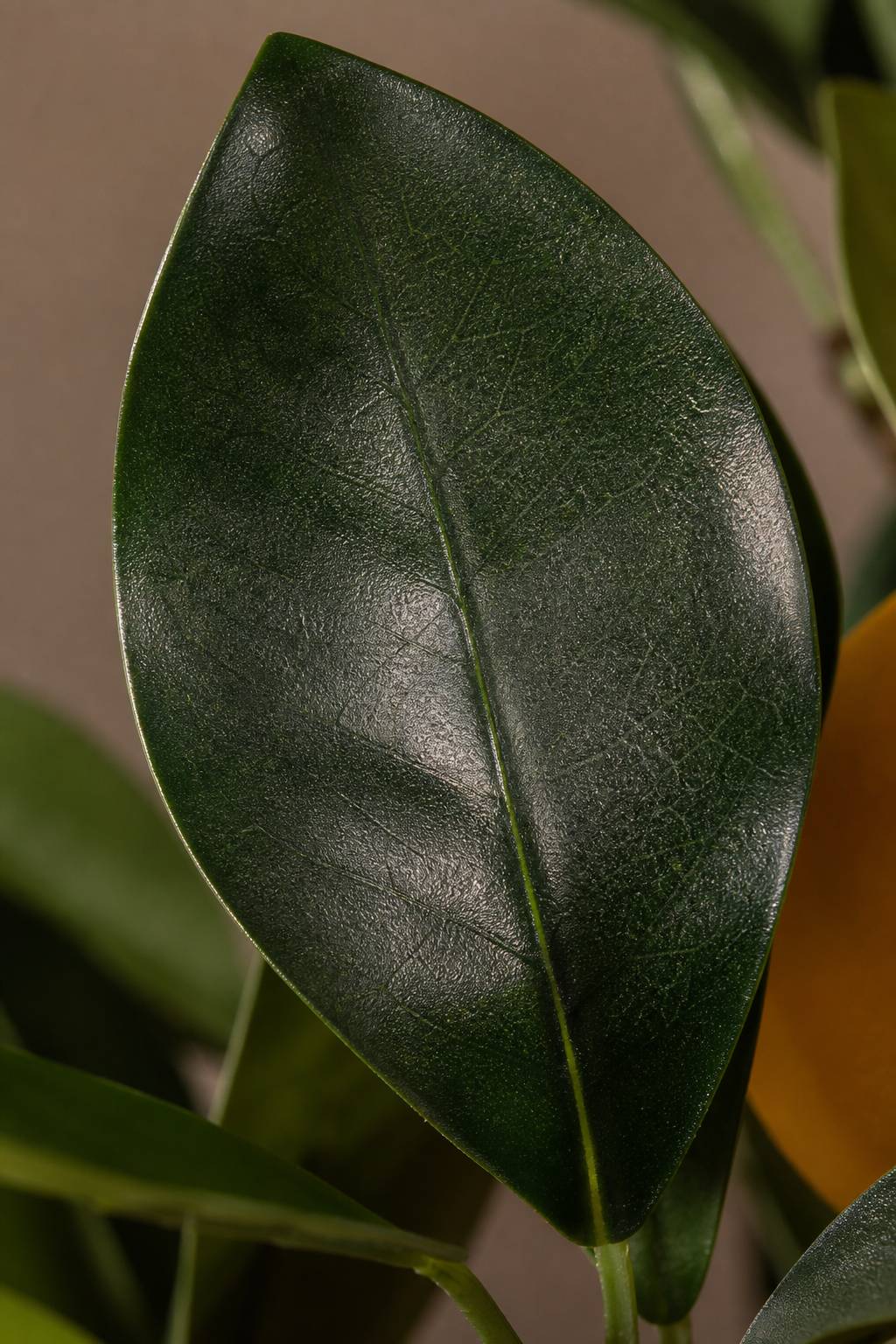 Maison Moya - Lemon Tree Faux Fruit Tree - closeup surface