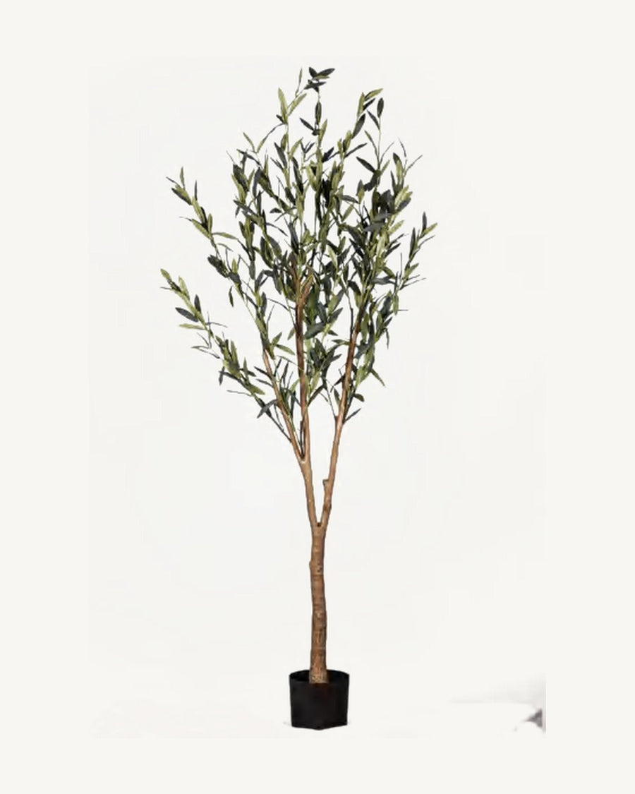 Lisboa Artificial Olive Tree, full product studio view in the included nursery pot