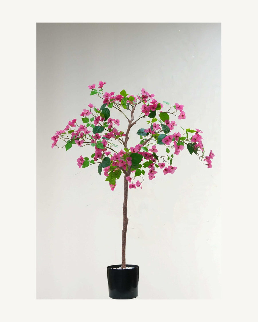 Lucca Artificial Bougainvillea Tree, full product studio view in the included nursery pot