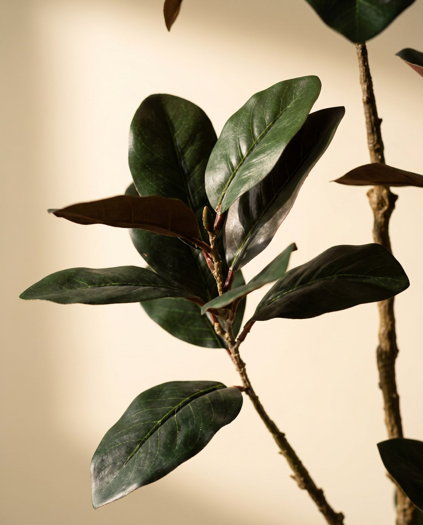 Maison Moya - Magnolia Flower Tree Faux Indoor Tree - 03 closeup-top