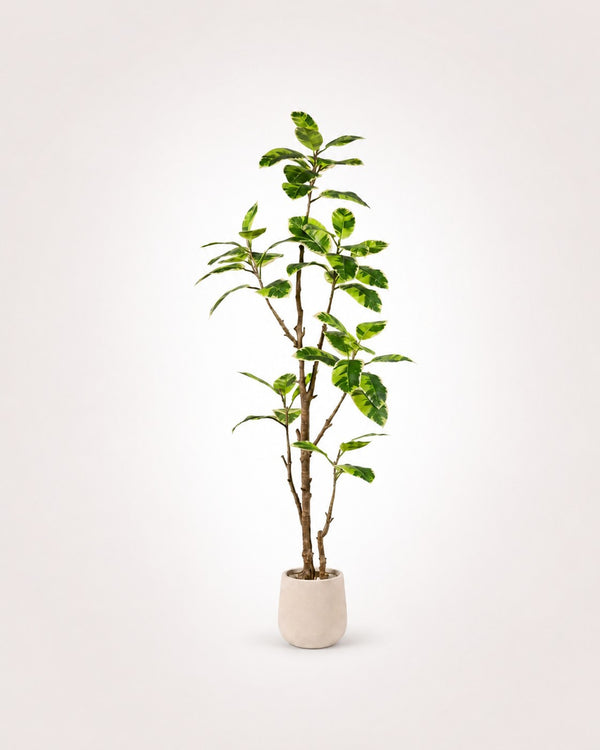 Magnolia Árbol artificial