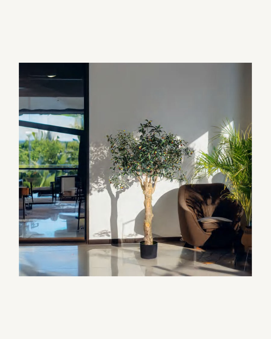 Mallorca Artificial Olive Tree, full product studio view in the included nursery pot