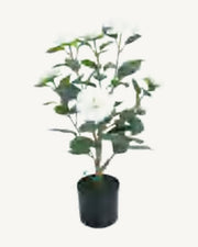 Mentone Artificial Blossom Tree, 24.8 in, full product studio view in the included nursery pot