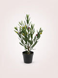 Olivo Mini Planta artificial