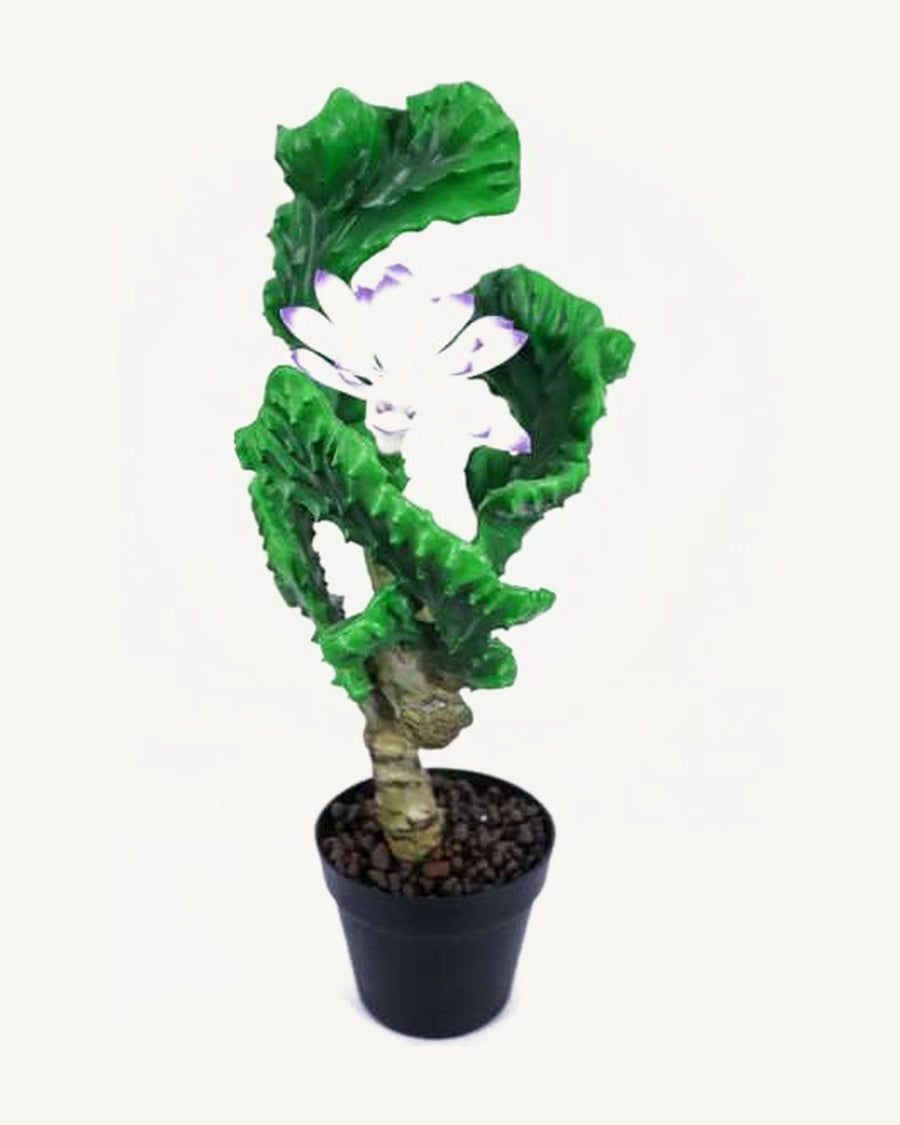 Orvieto Artificial Coral Cactus, full product studio view in the included nursery pot