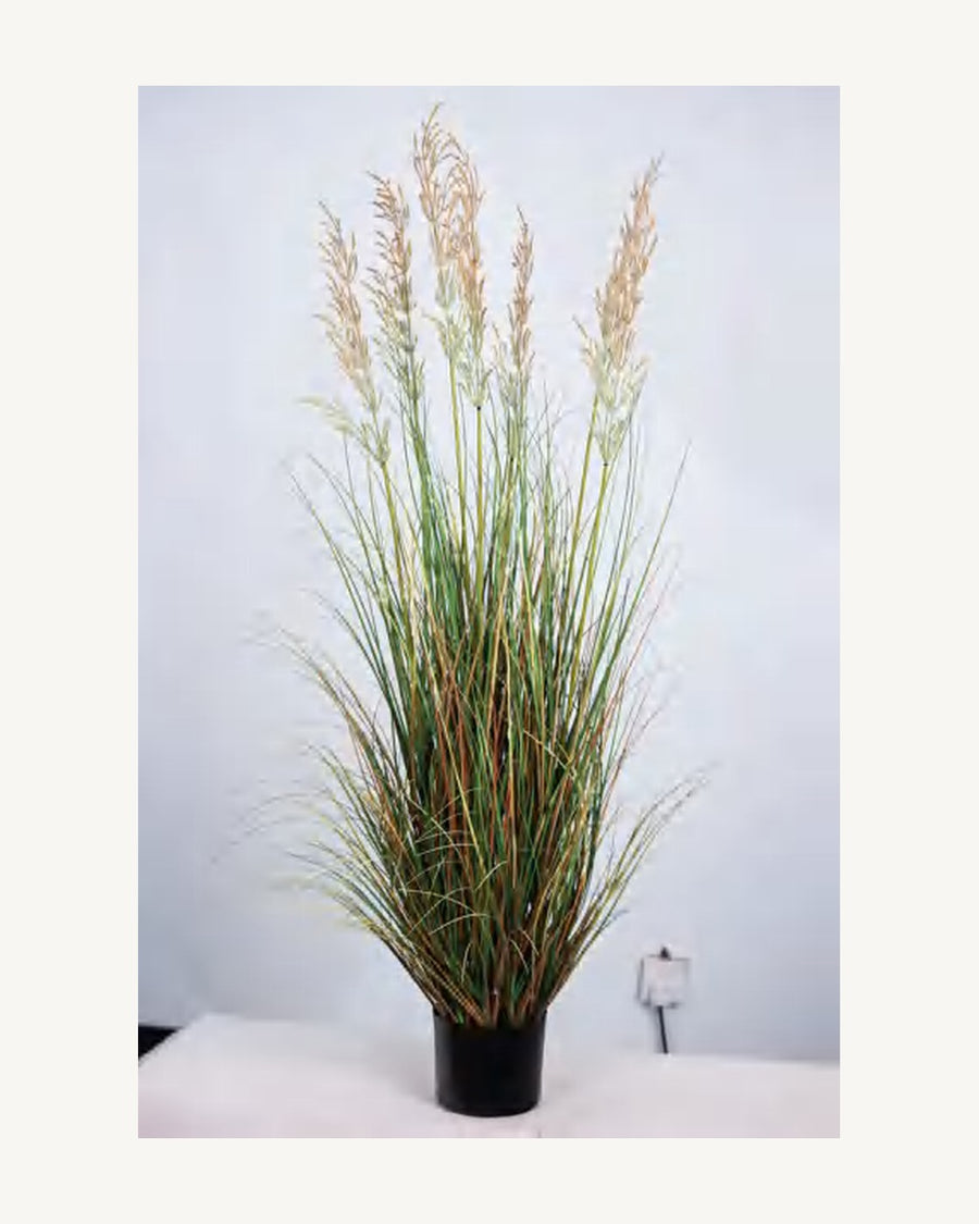 Orvieto Artificial Onion Grass, full product studio view in the included nursery pot