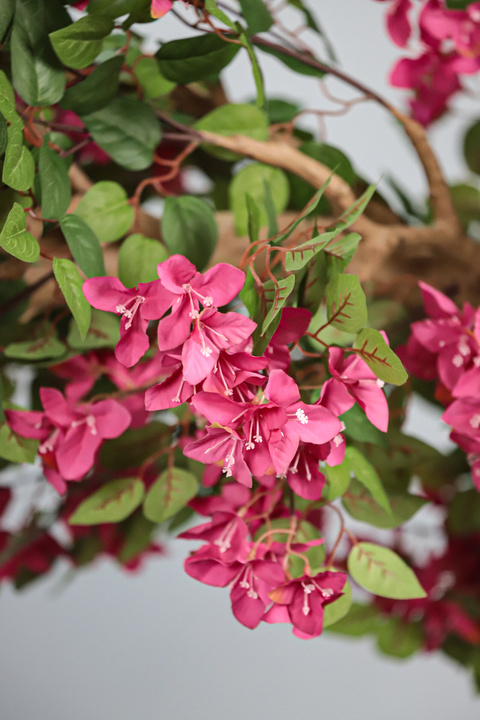 Bougainvillea Arched XL Statement Tree